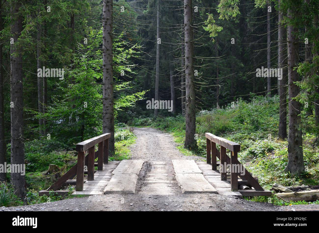 Un piccolo breve ponte che attraversa il fiume per la guida delle automobili nel mezzo della foresta Foto Stock