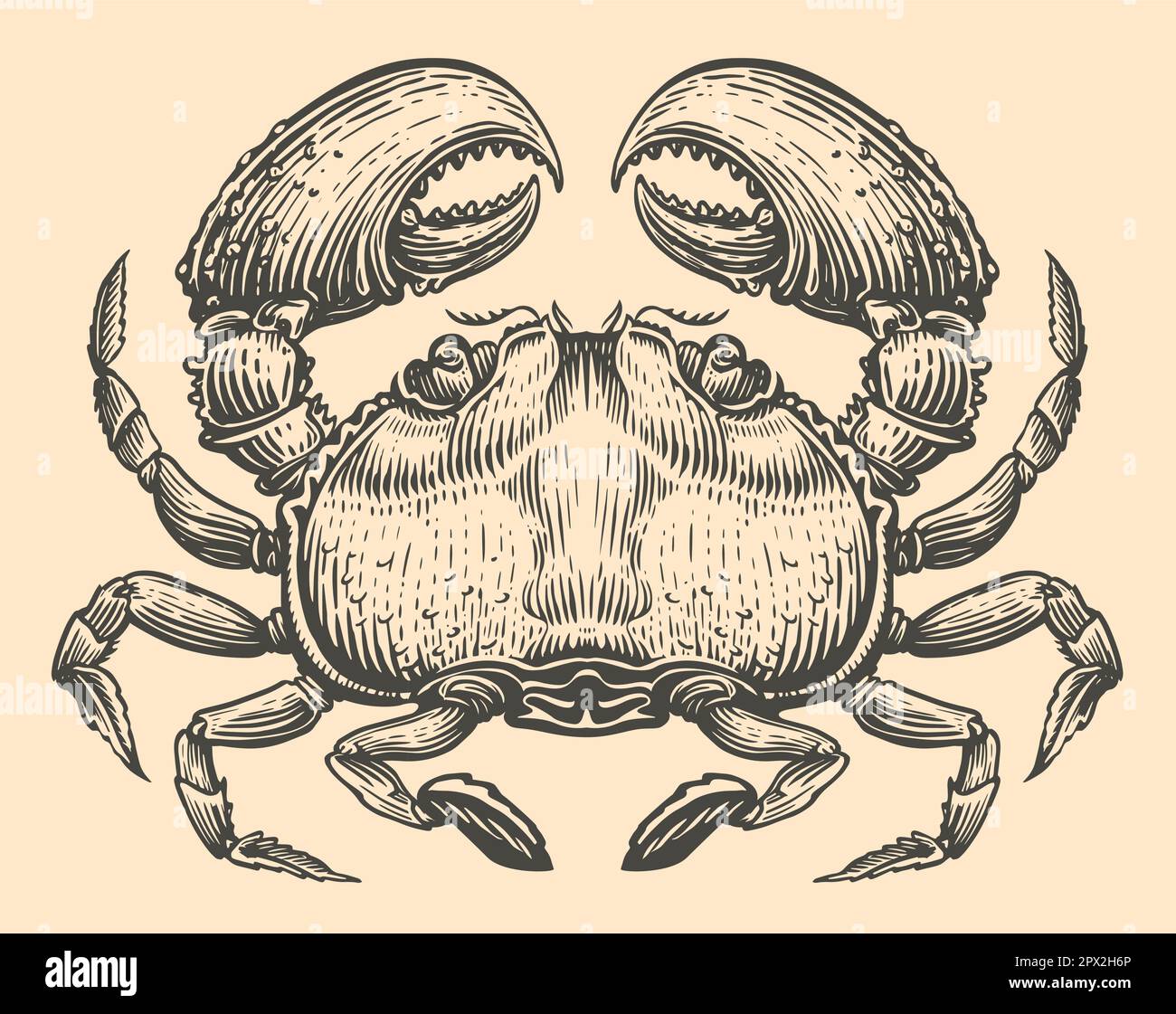 Granchio disegno a mano di stile di incisione. Illustrazione del vettore animale Illustrazione Vettoriale