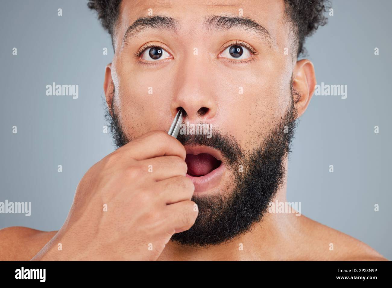Tenere sotto controllo i peli del naso. Studio shot di un bel giovane uomo  che gli pinzava i peli del naso su uno sfondo grigio Foto stock - Alamy