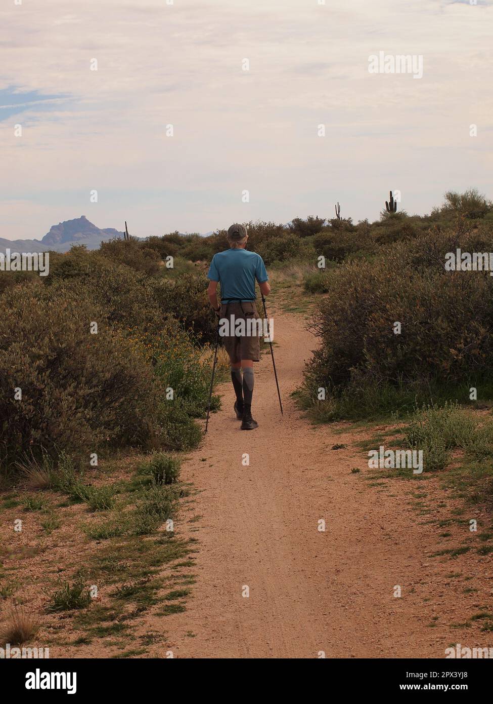 Ciclisti ed escursionisti lungo un sentiero al McDowell Mountain Regional Park fuori da Fountain Hills, Arizona. Numerosi sentieri sono disponibili per l'uso. Foto Stock