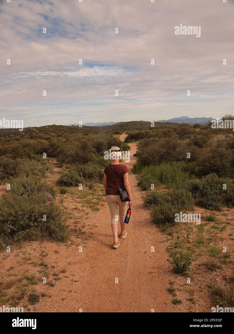 Ciclisti ed escursionisti lungo un sentiero al McDowell Mountain Regional Park fuori da Fountain Hills, Arizona. Numerosi sentieri sono disponibili per l'uso. Foto Stock