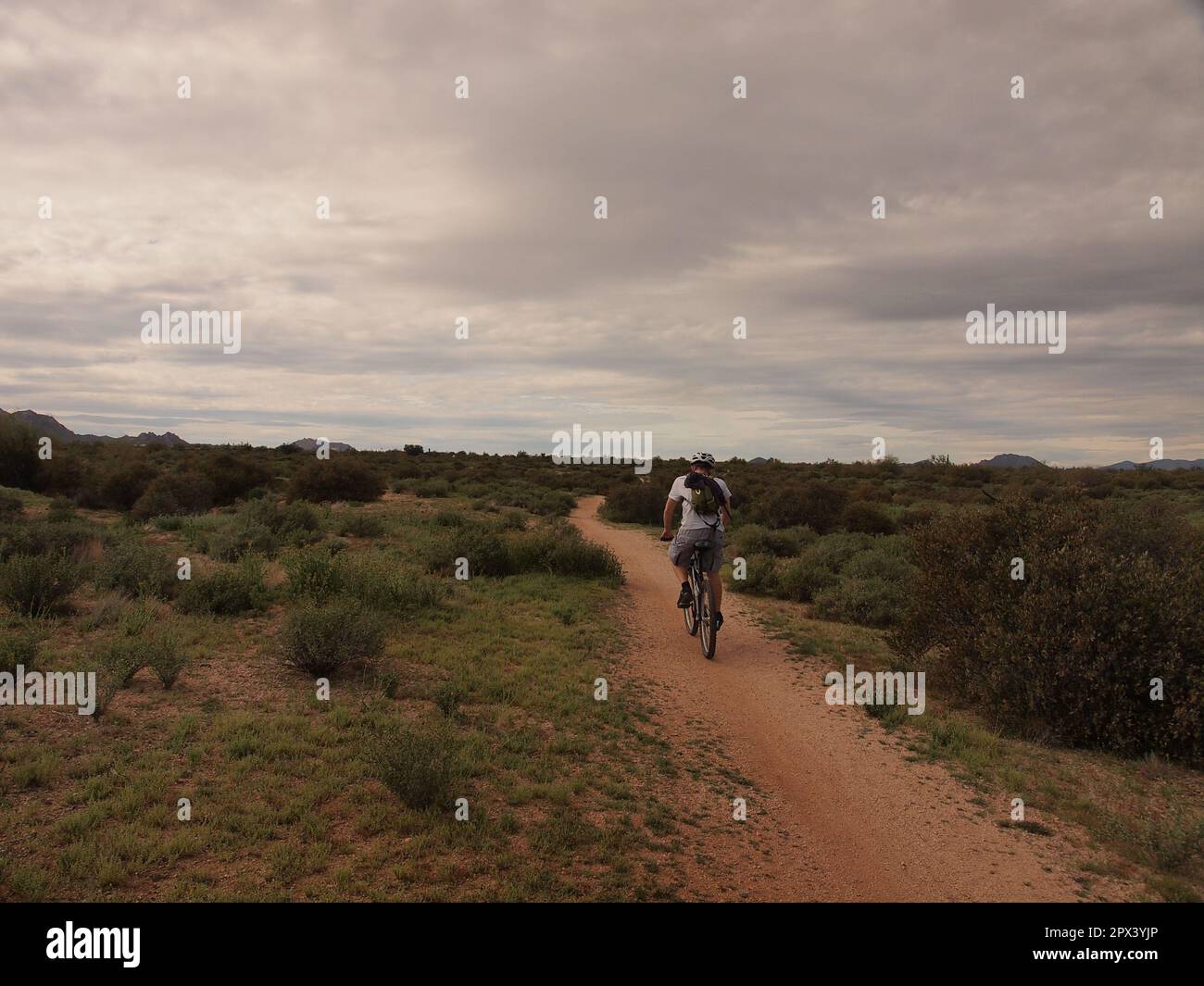 Ciclisti ed escursionisti lungo un sentiero al McDowell Mountain Regional Park fuori da Fountain Hills, Arizona. Numerosi sentieri sono disponibili per l'uso. Foto Stock