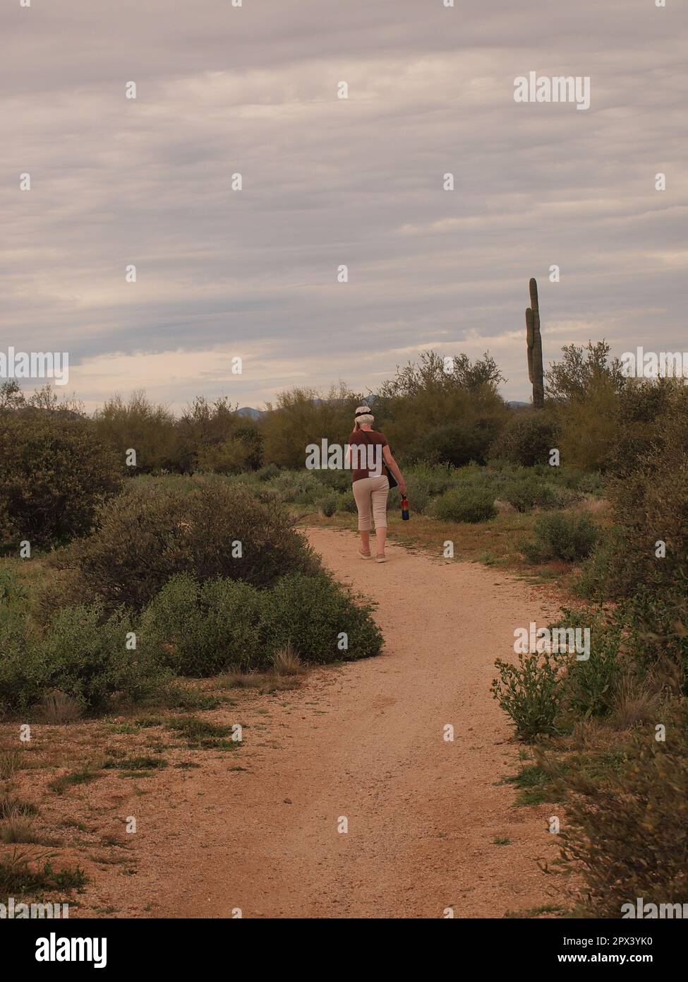 Ciclisti ed escursionisti lungo un sentiero al McDowell Mountain Regional Park fuori da Fountain Hills, Arizona. Numerosi sentieri sono disponibili per l'uso. Foto Stock