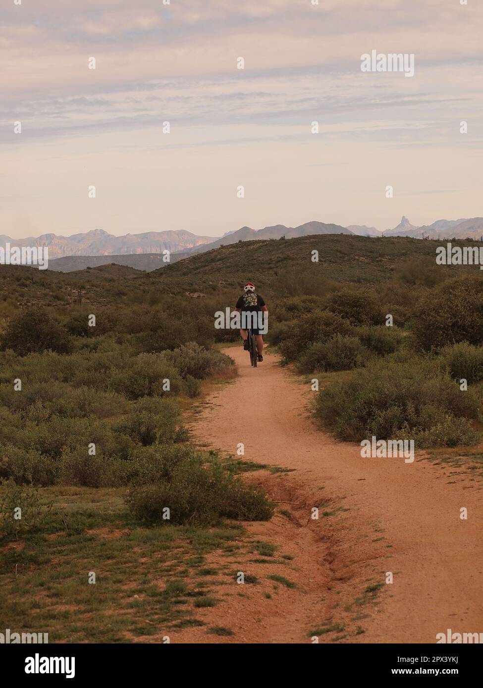 Ciclisti ed escursionisti lungo un sentiero al McDowell Mountain Regional Park fuori da Fountain Hills, Arizona. Numerosi sentieri sono disponibili per l'uso. Foto Stock