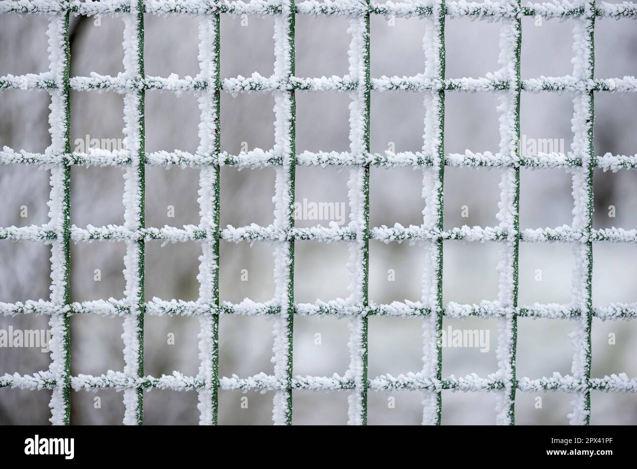Primo piano di un recinto da giardino ghiacciato con cristalli di ghiaccio formati dal vento Foto Stock