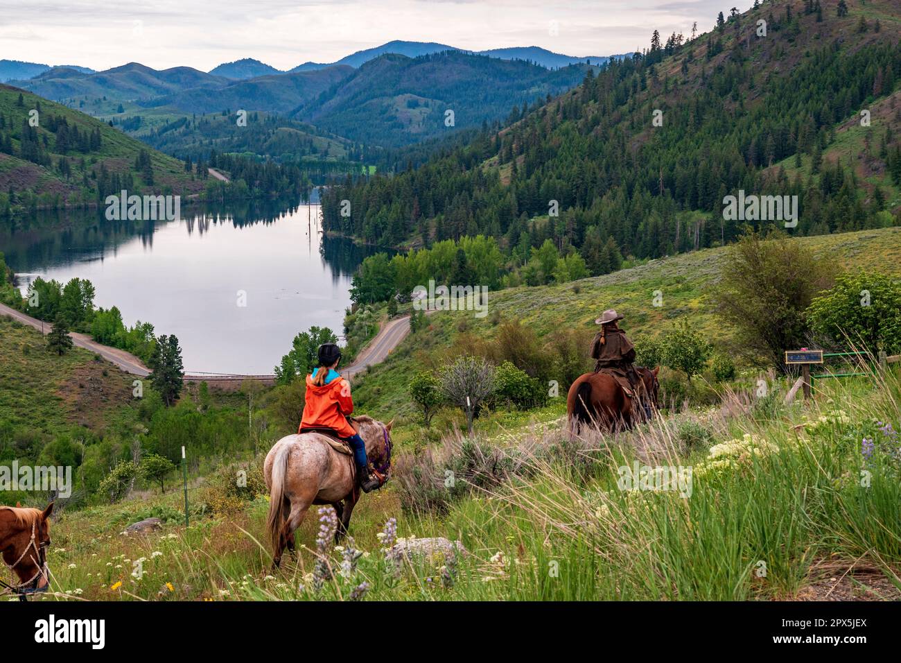 Le donne cavalcano i cavalli lungo un sentiero sulla Sun Mountain con il lago Patterson e le Cascade Mountains in lontananza, vicino a Winthrop, Washington. Foto Stock