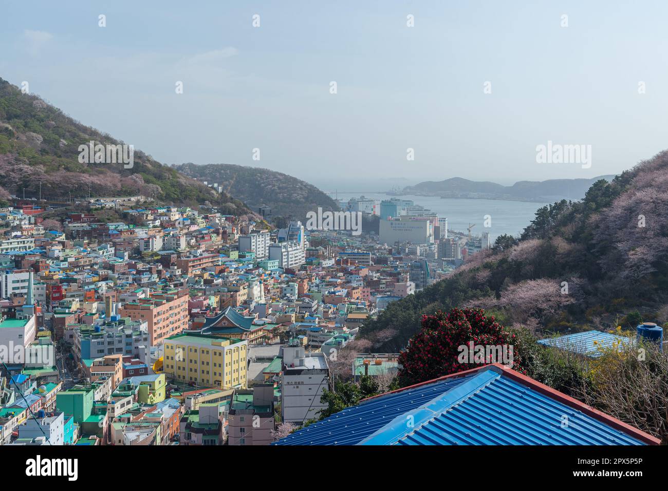 Gamcheon cultura villaggio paesaggio paesaggio paesaggio Foto Stock