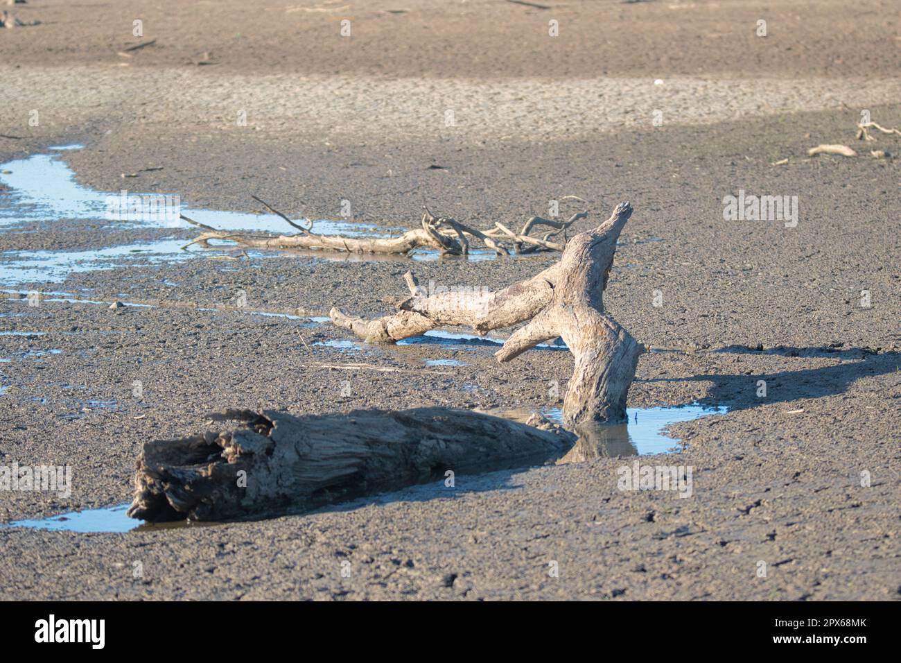 Acceda ad un letto asciutto del lago Foto Stock