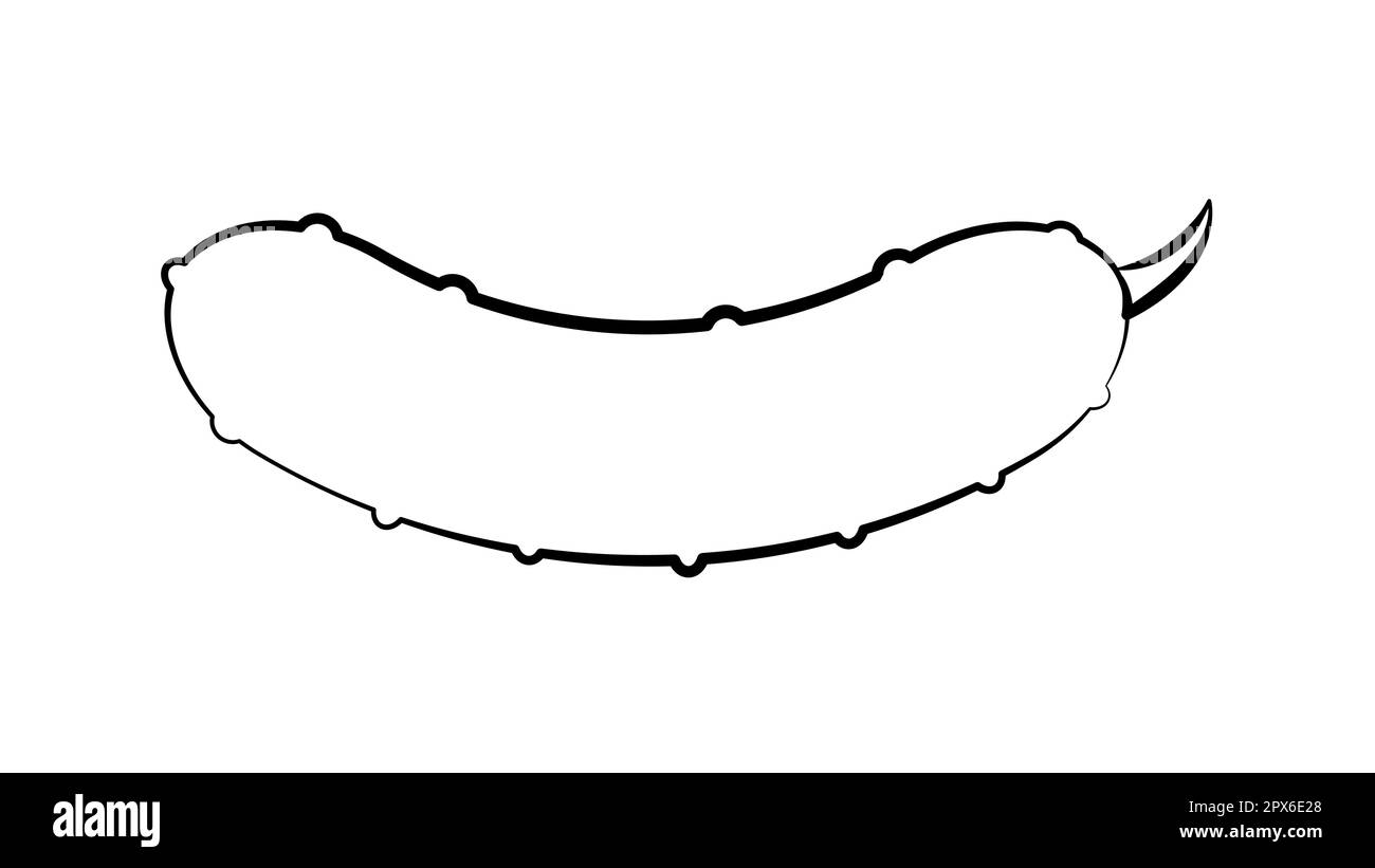 contorno cetriolo. Icona in bianco e nero di un intero vegetale e fetta. Illustrazione monocromatica vettoriale. Illustrazione Vettoriale