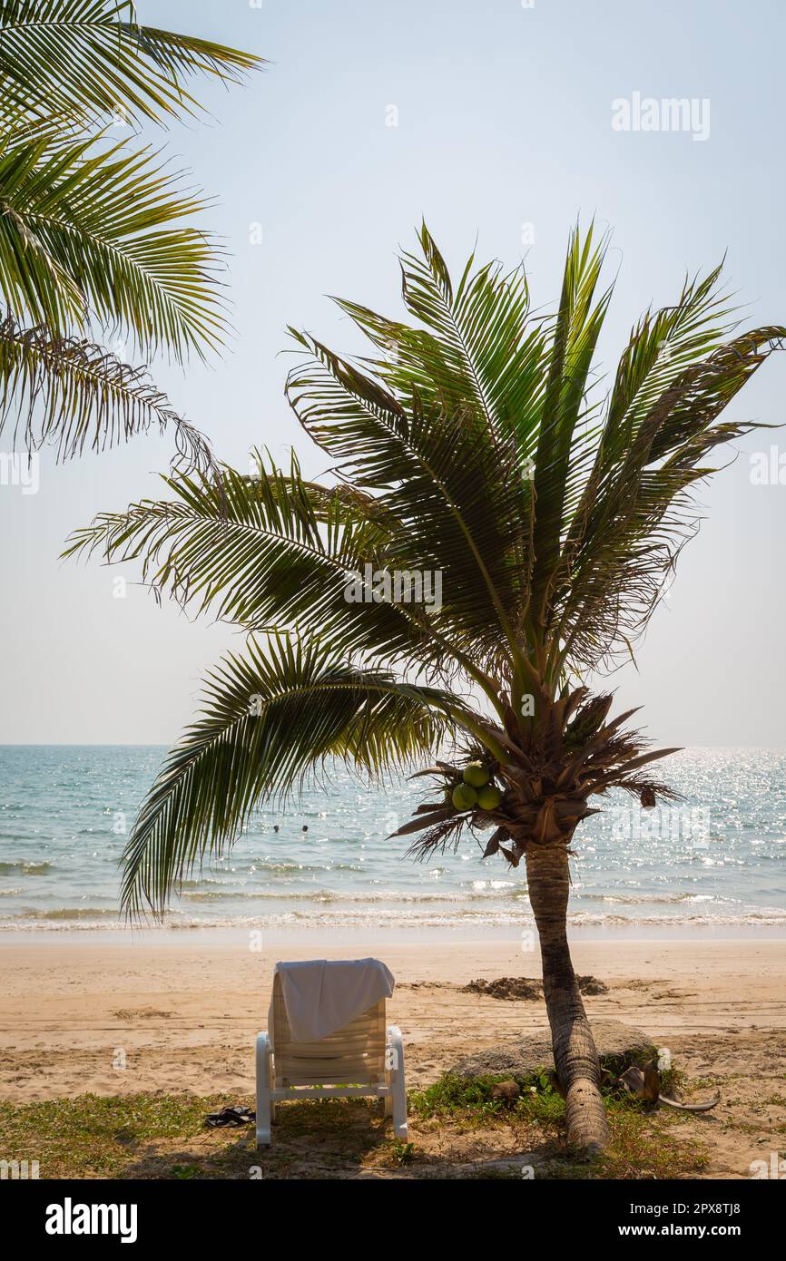Sedia da spiaggia a costa soleggiata con albero di cocco sullo sfondo della spiaggia Foto Stock