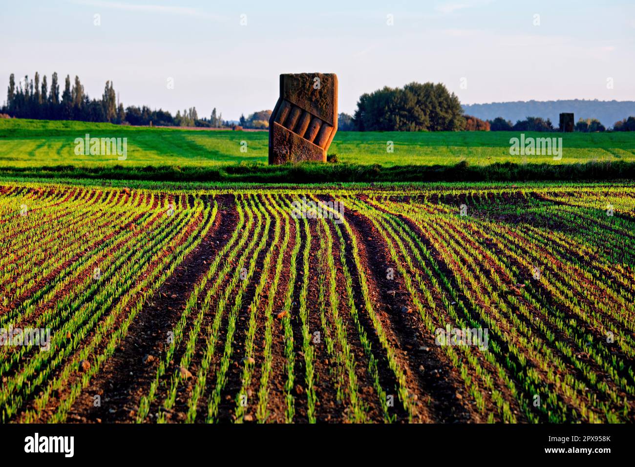 Strada della scultura vicino a Baltersweiler, Saarland, Germania Foto Stock