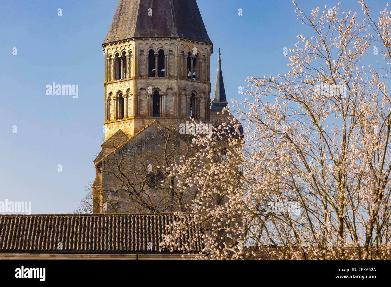 Abbazia benedettina Cluny, Saone et Loire dipartimento, Bourgogne regione, Francia Foto Stock