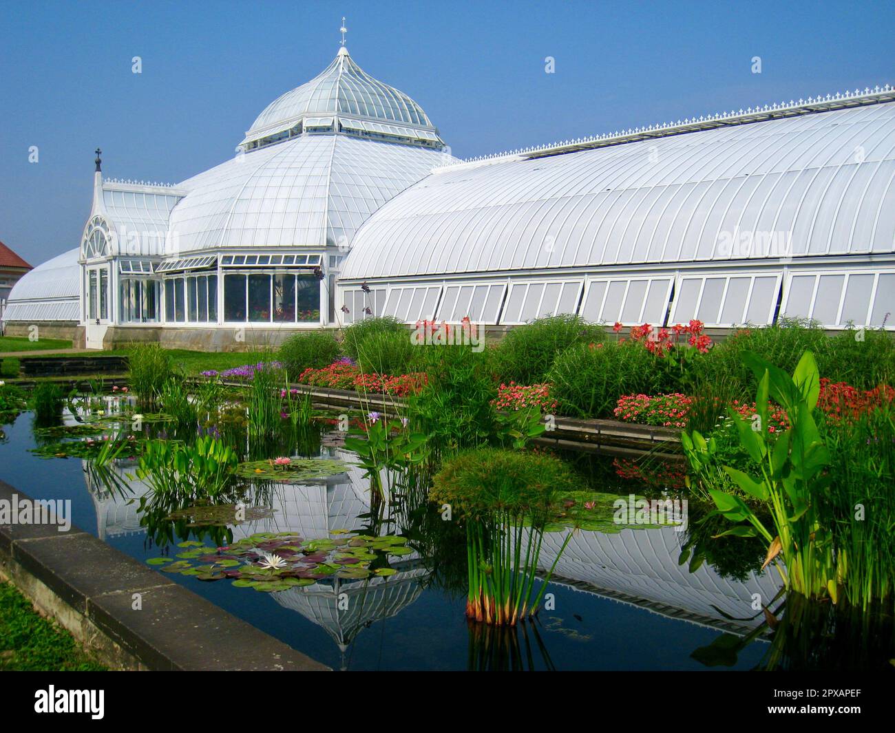 Phipps Conservatory & Botanical Gardens, Pittsburgh, Pennsylvania, USA. Foto Stock