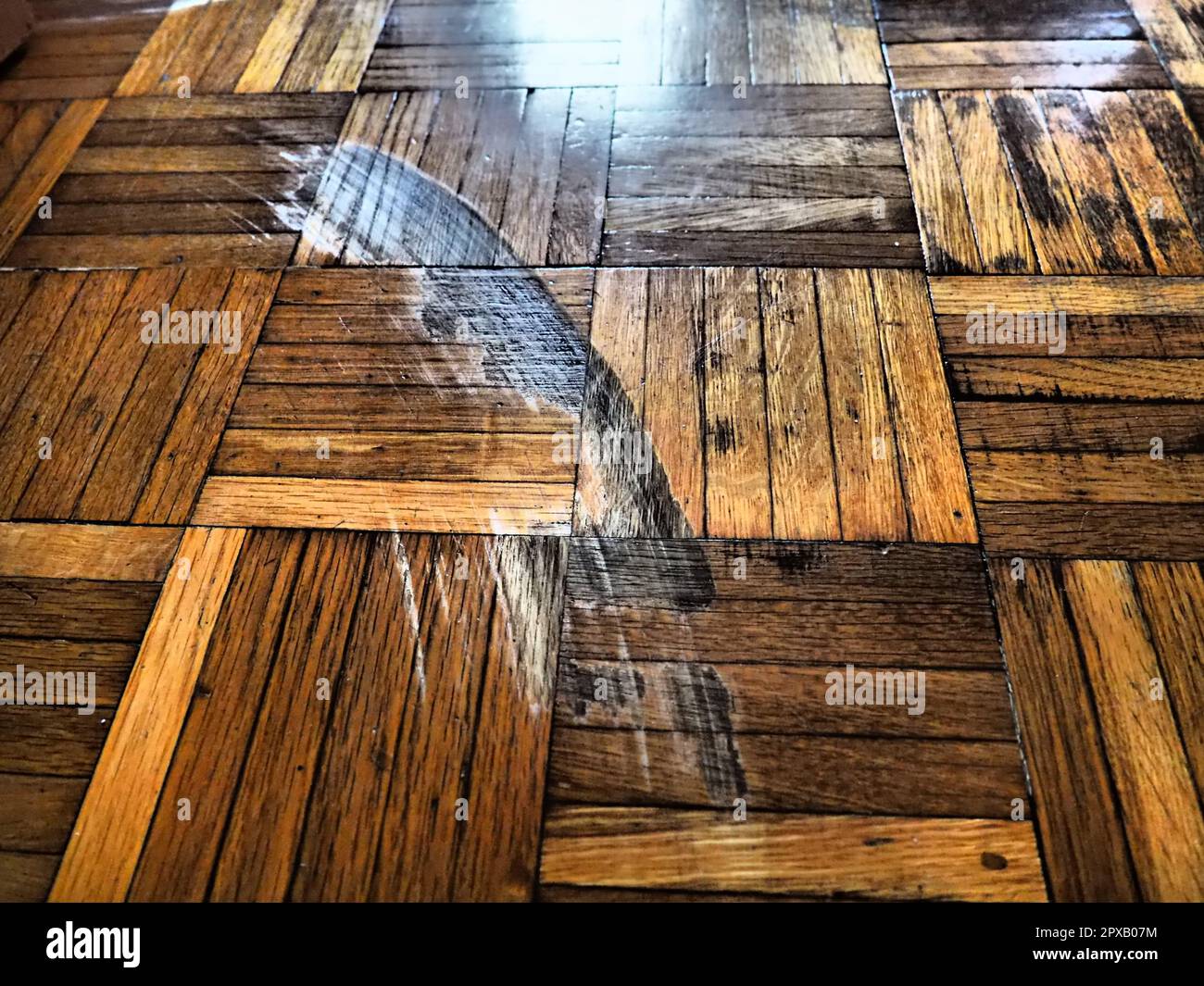 Parquet graffiato in camera. Graffi, scheggiature e ammaccature sul  pavimento. Parquet da riparare Foto stock - Alamy