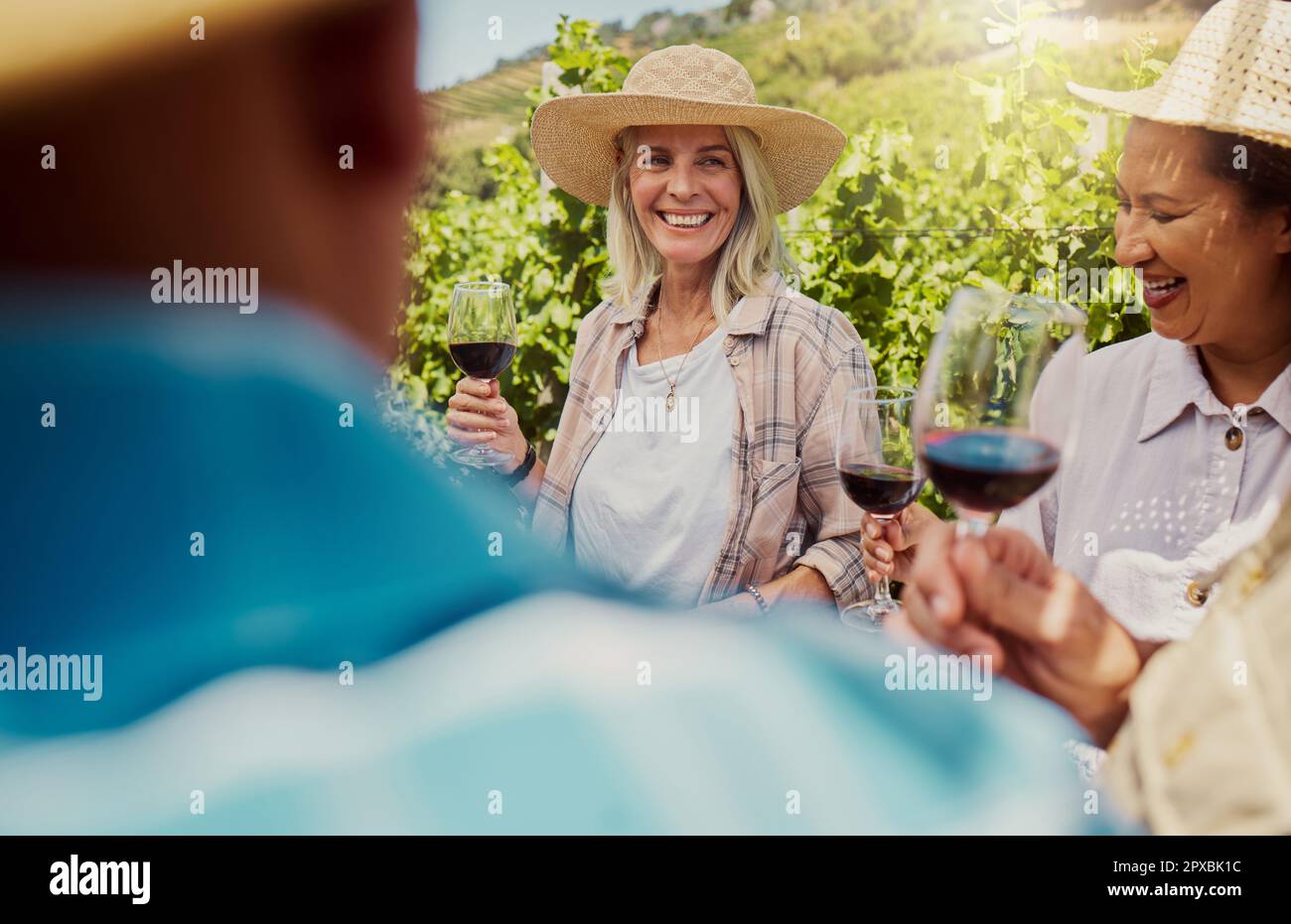 Gruppo di amici diversi che tengono i vigneti su un vigneto. Gruppo felice di persone che si levano in piedi insieme e si uniscono durante la degustazione di vini in azienda durante il Foto Stock