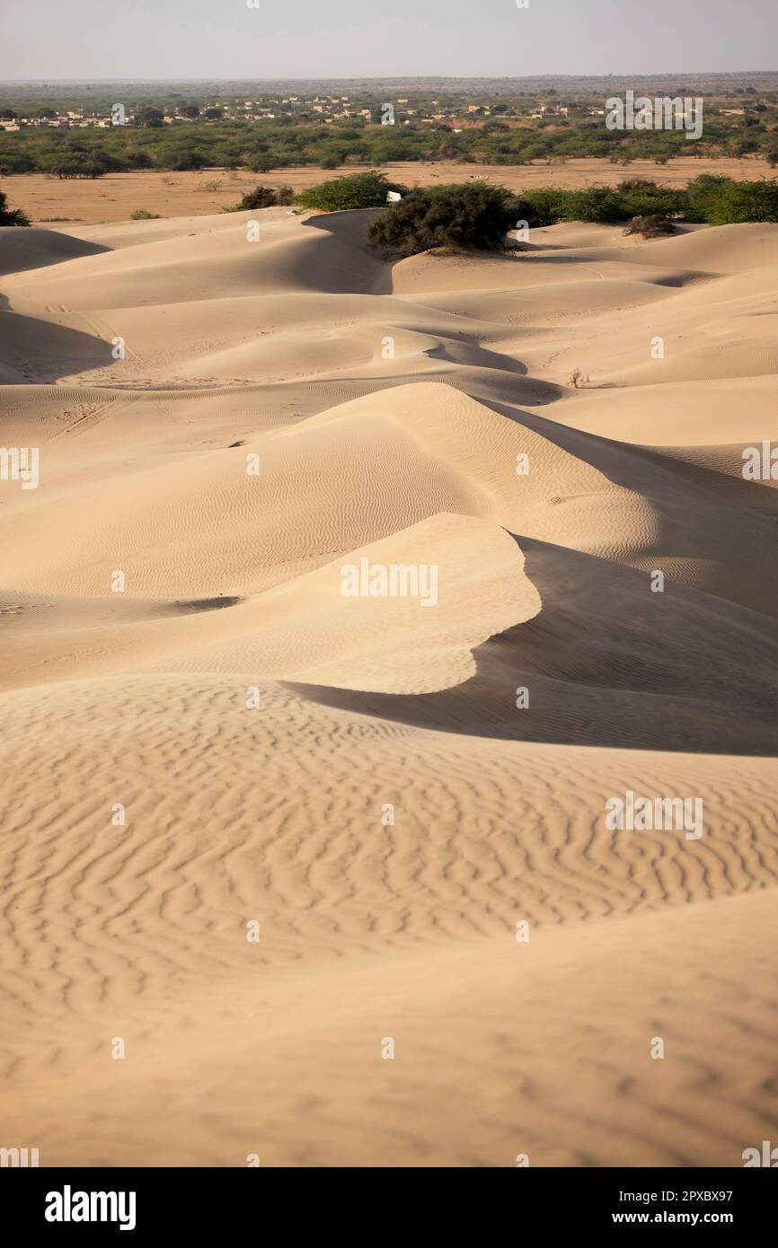 Thar Desert, un vasto deserto nel Rajasthan, famoso per le sue dune di sabbia dorata e il patrimonio culturale, nel pomeriggio Foto Stock