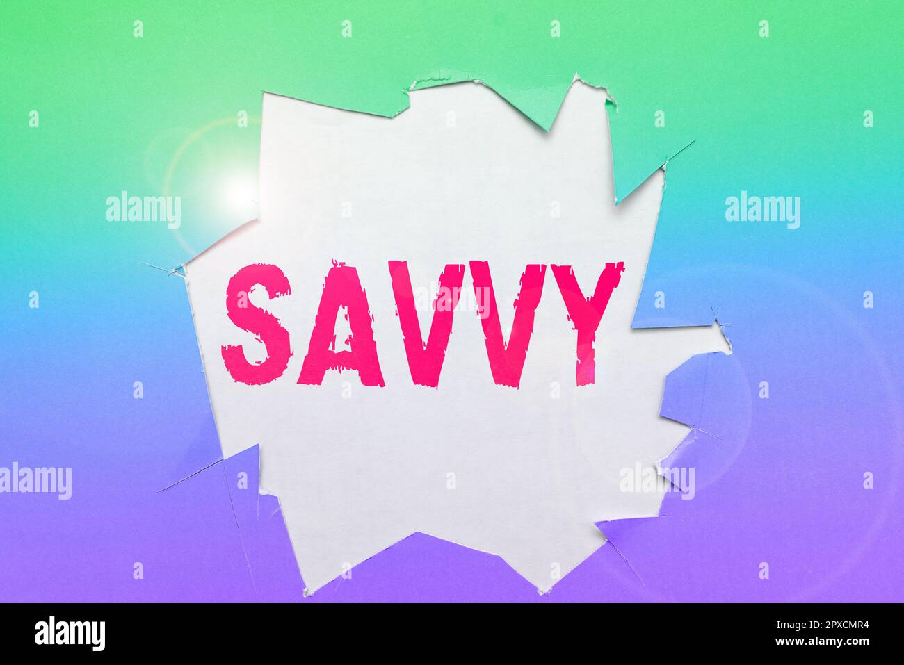 Visualizzazione concettuale Savvy, Parola scritta su avere percezione, comprensione in questioni pratiche Foto Stock