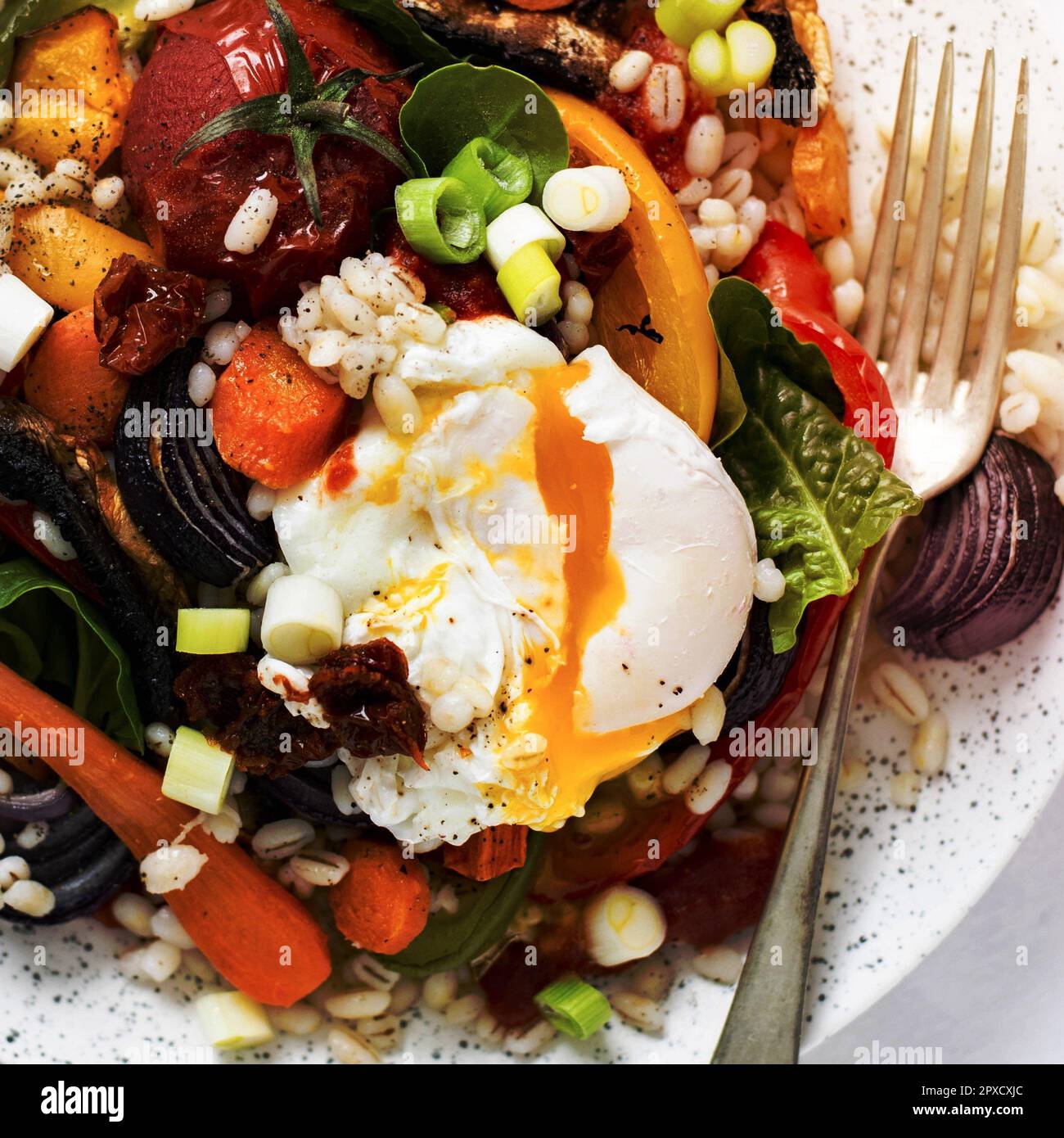 Orzo con verdure arrosto e uovo in camicia Foto Stock