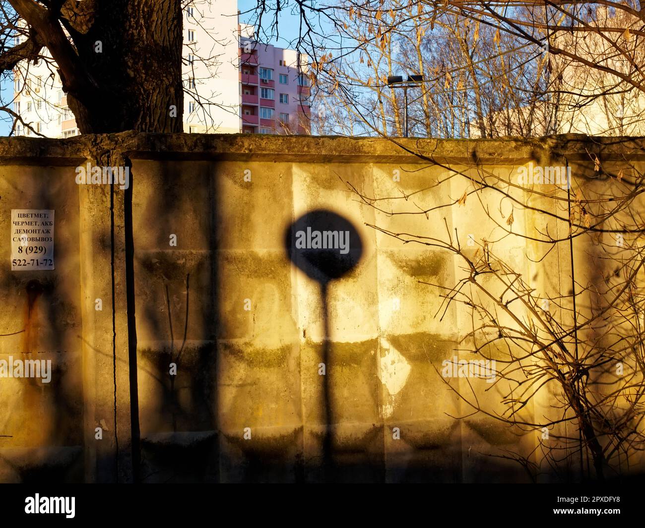 Lampada da strada nel parco in una serata di sole, Mosca Foto stock - Alamy