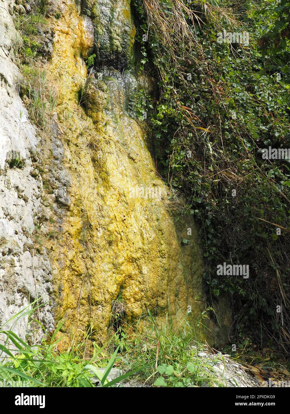 Drenaggio di acque reflue organiche da un sistema fognario in trabocco da una scogliera alla spiaggia di Vysoky Bereg ad Anapa, territorio di Krasnodar, agosto 2021. Foto Stock