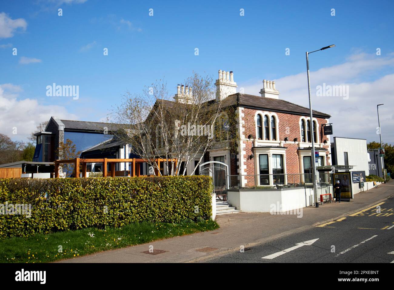 il pub doyen in precedenza i re dirigersi a sud belfast irlanda del nord regno unito Foto Stock