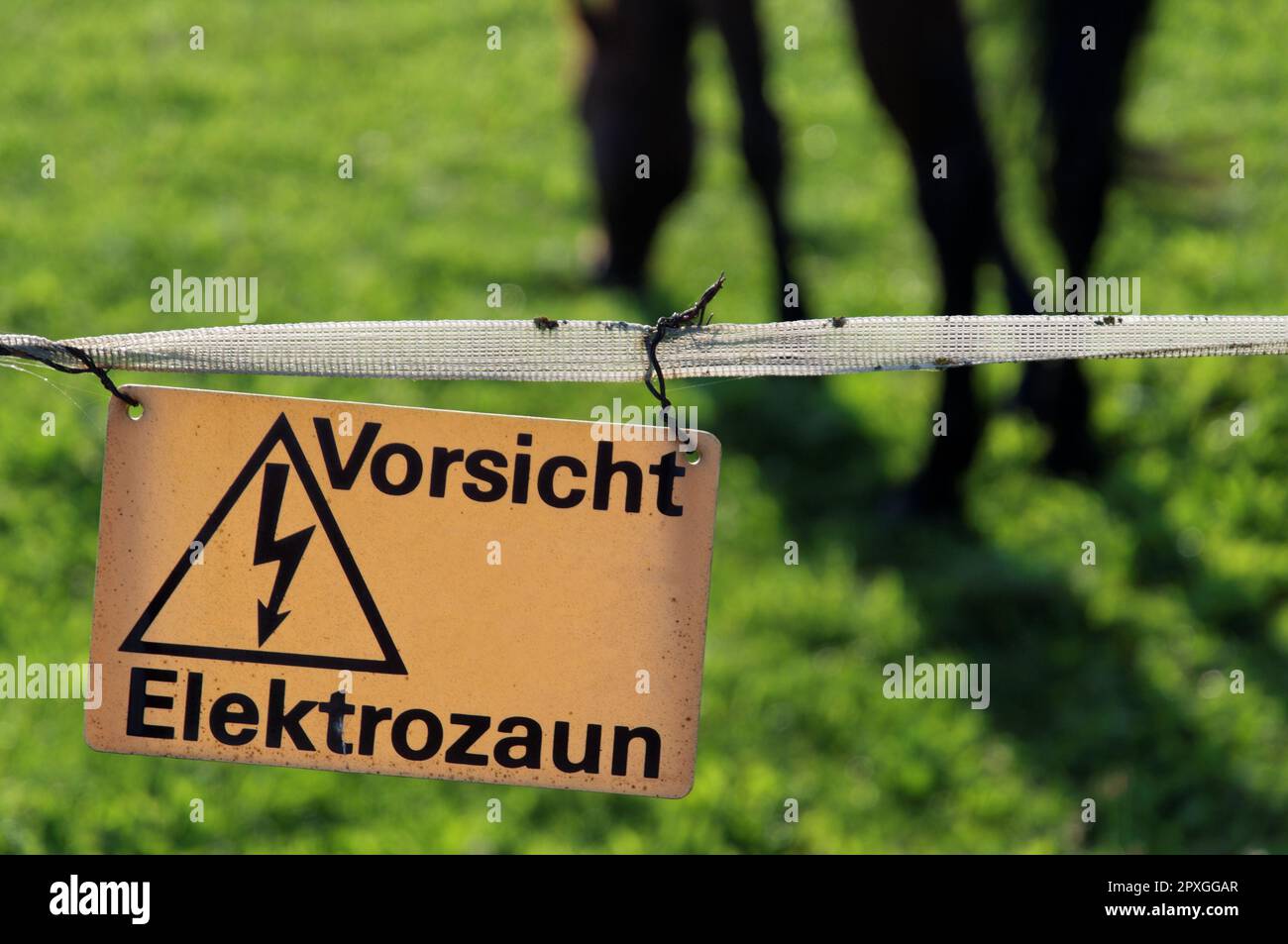 Un cartello che avverte della presenza di recinzioni elettriche ('Vorsicht Elektrozaun') in un campo erboso Foto Stock