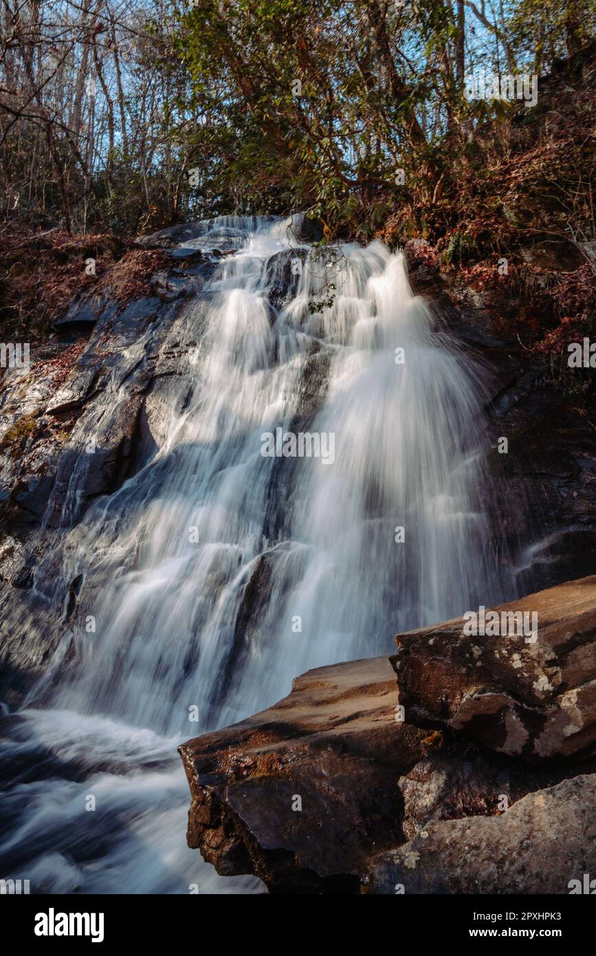 Una maestosa cascata scende lungo un burrone densamente boscoso. Foto Stock