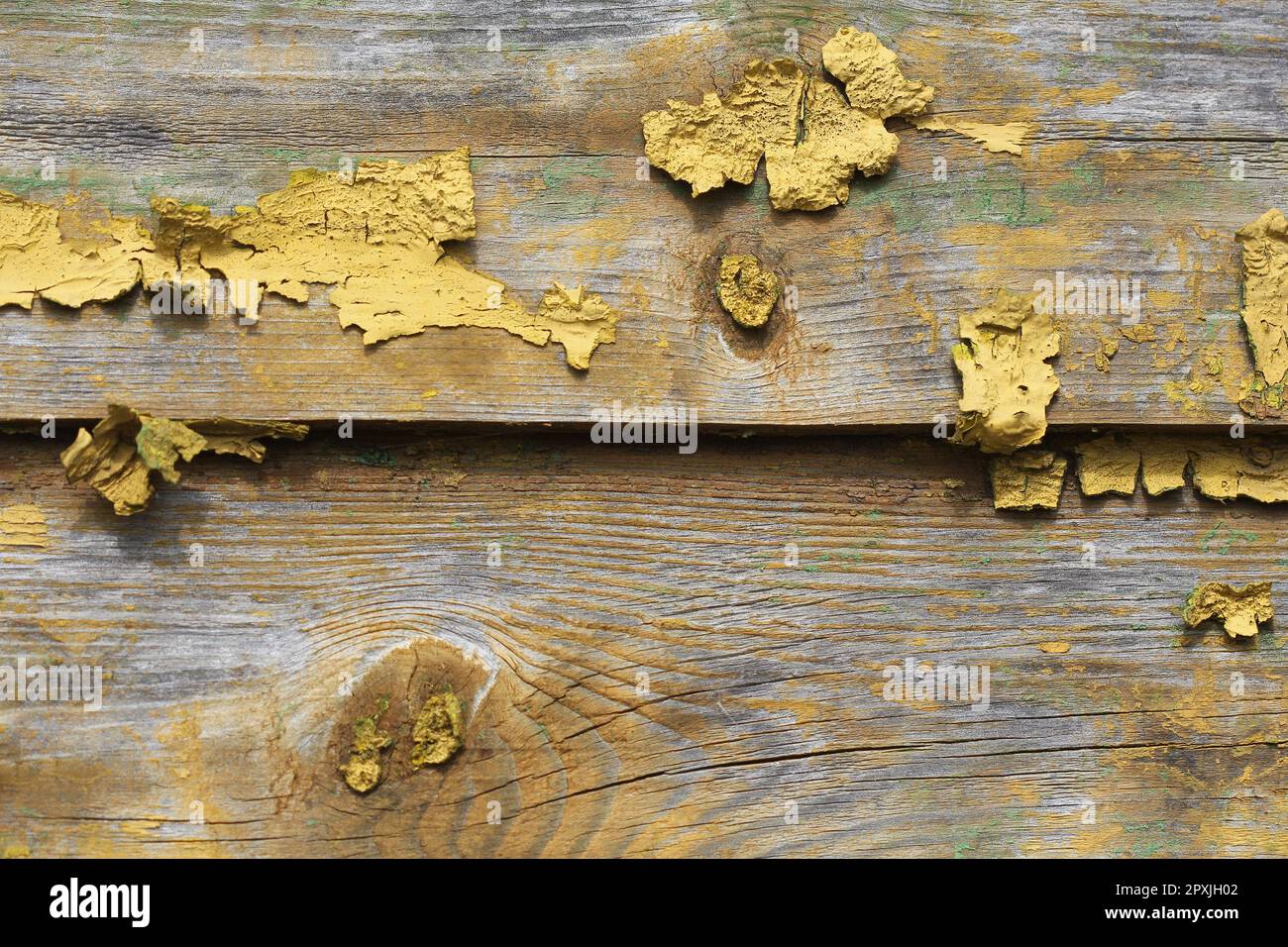 Sfondo di vecchia tessitura di legno con vernice gialla da peeling. Foto Stock