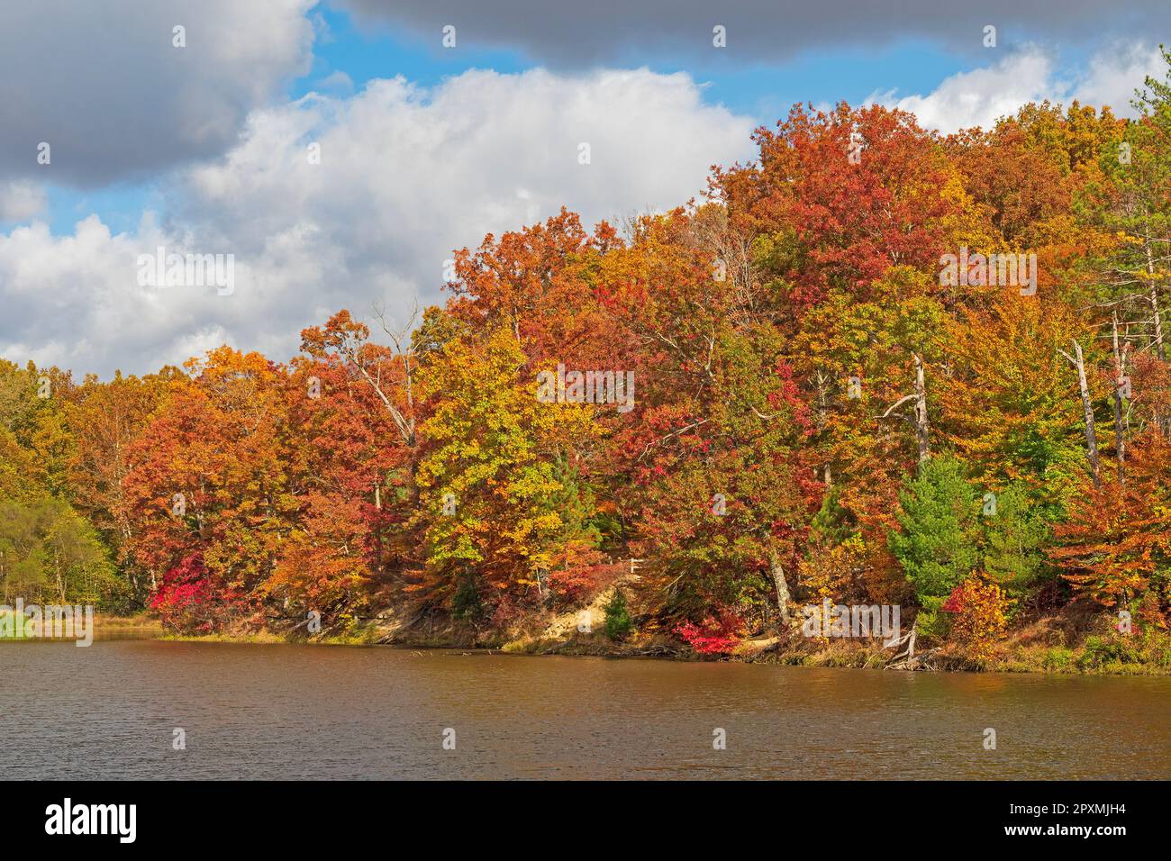 Colori autunnali vivaci in un giorno d'autunno a Strahl Lake nel Brown County state Park in Indiana Foto Stock