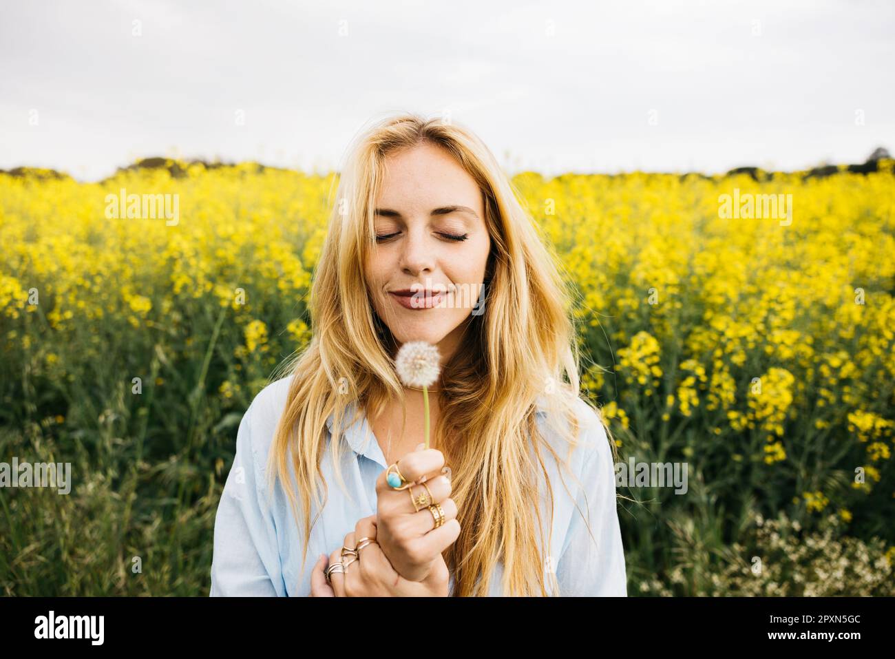 Bella giovane bionda donna allegra, soffiando semi di dente di leone in mezzo a un campo di fiori di colza giallo fiorente Foto Stock