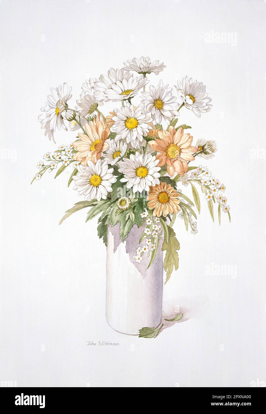 Grafica. Acquerello di Oxe-eye Daisy & Gerbera fiori in vaso. Foto Stock