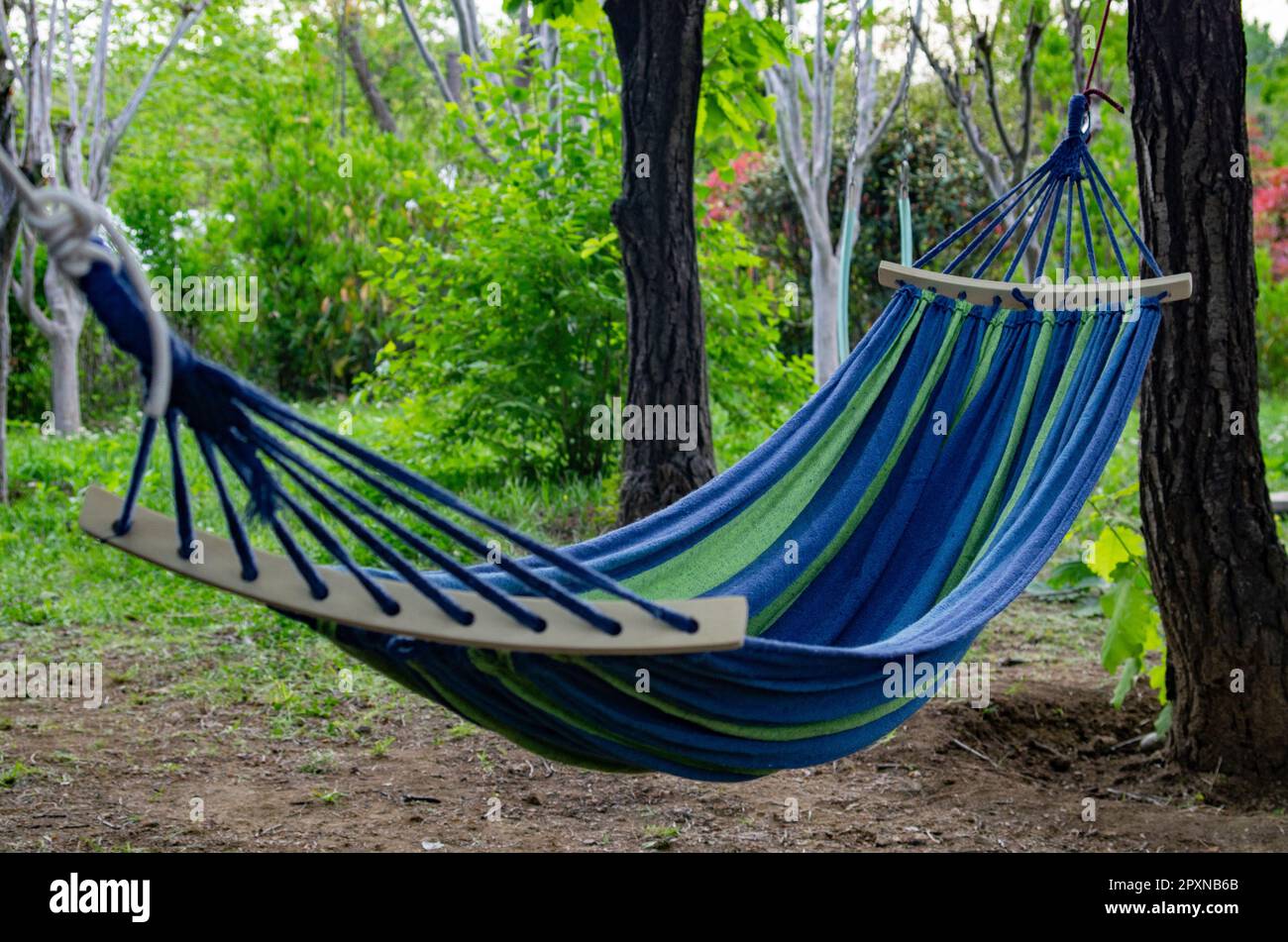 Un'amaca in una foresta estiva, concetto di vacanza resort Foto stock -  Alamy