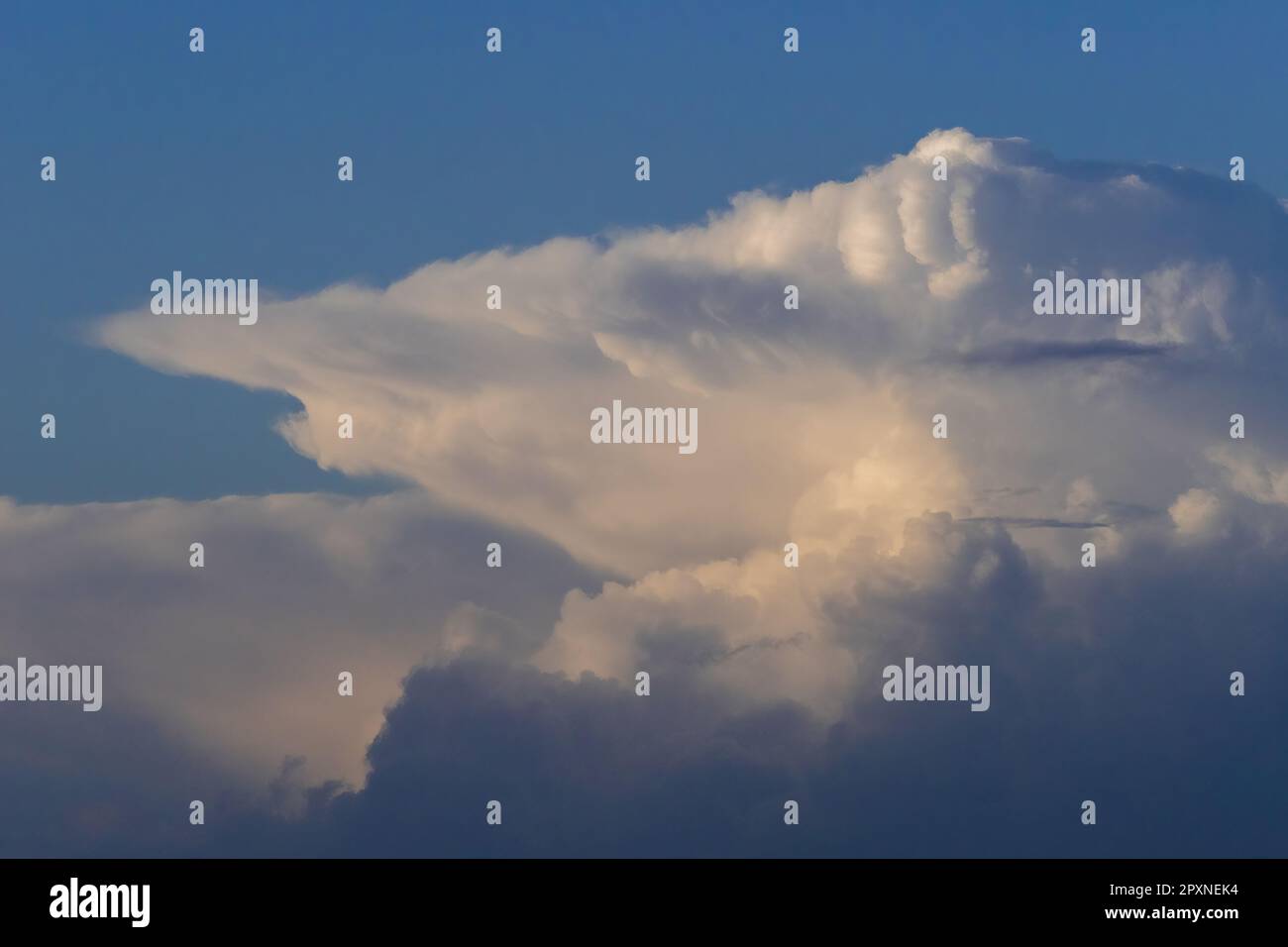 Drammatica nuvola di cumulonimbus su Sussex, Inghilterra. Foto Stock