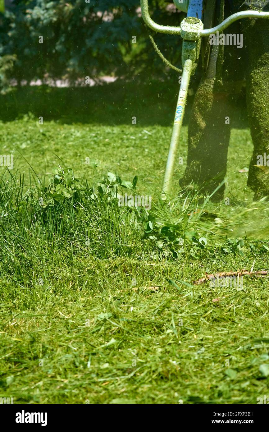 Un uomo taglia erba verde su un prato del parco con un tosaerba a