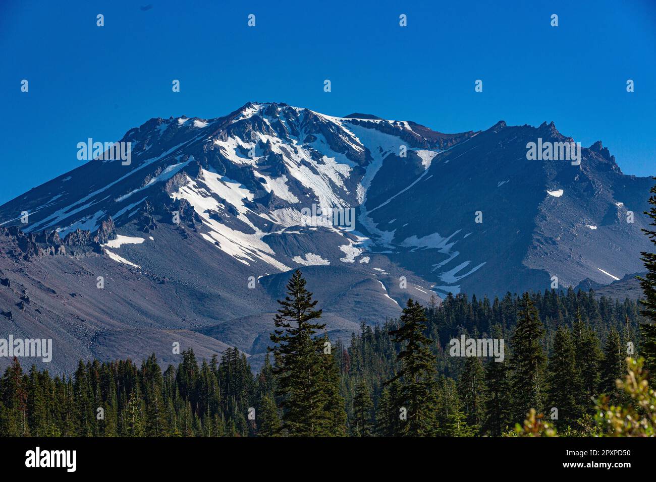 Mt. Shasta, California, USA - 17 luglio 2022: Vista sul monte Shasta, Siskiyou e gli alci e i ruscelli vicini. Foto Stock