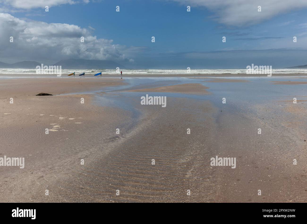 Fai surf alla Blue flag Inch Beach o a un Inse sulla penisola di Dingle nella baia di Dingle. Surf, windsurf e surf terrestre, calma, tranquillità, Ardroe, County Kerry. Foto Stock