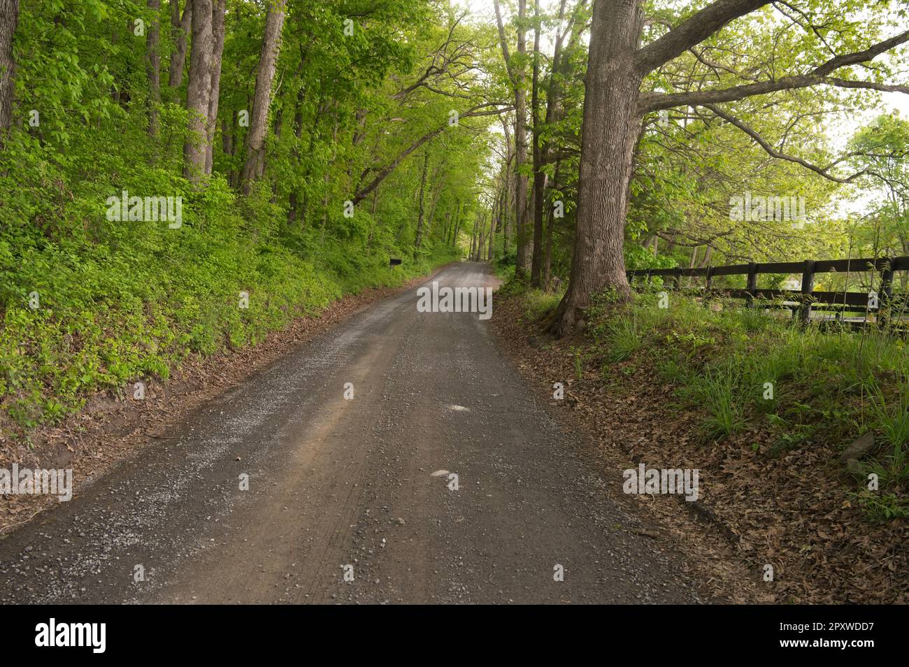 Stati Uniti: Aprile, 15 2023: Furr Road guardando verso nord verso Philomont. Foto di Douglas Graham Foto Stock