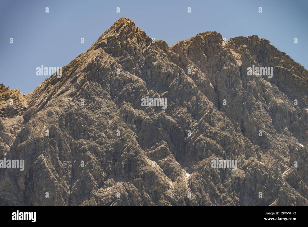 Großer Wilder, 2379m, Hochvogelgruppe e Rosszahngruppe, Allgäu Alps, Allgäu, Baviera, Germania, Europa Foto Stock