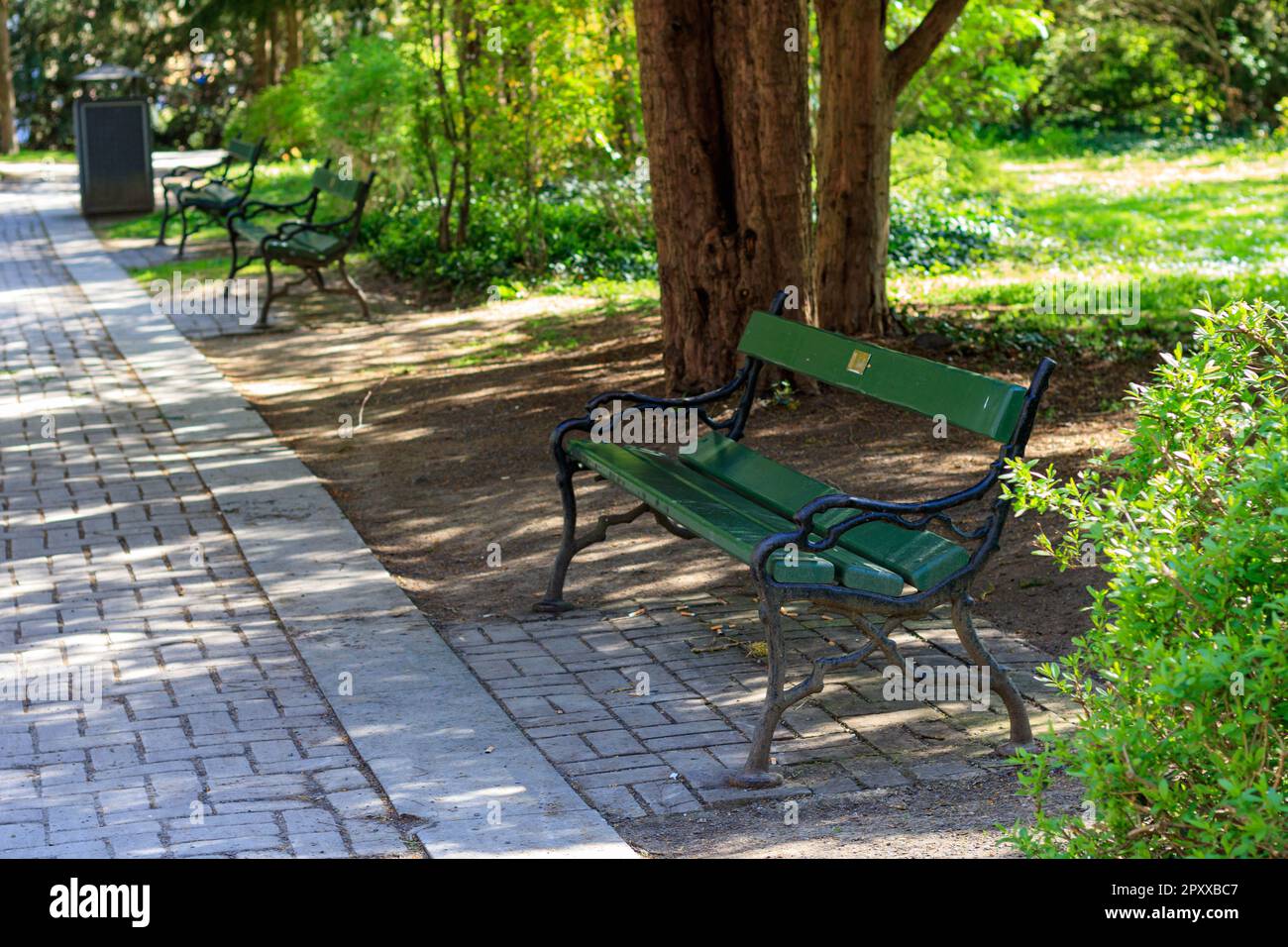 Parcheggia le panchine lungo un sentiero ombreggiato in un parco verde lussureggiante, Würzburg, Germania Foto Stock