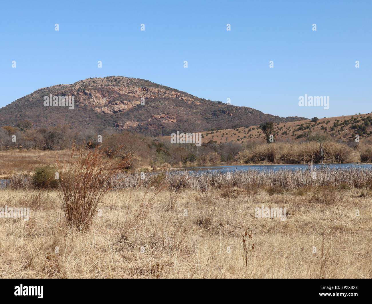 Safari africano con la collina e il fiume coccodrillo preso in inverno quando il terreno è asciutto e marrone Foto Stock