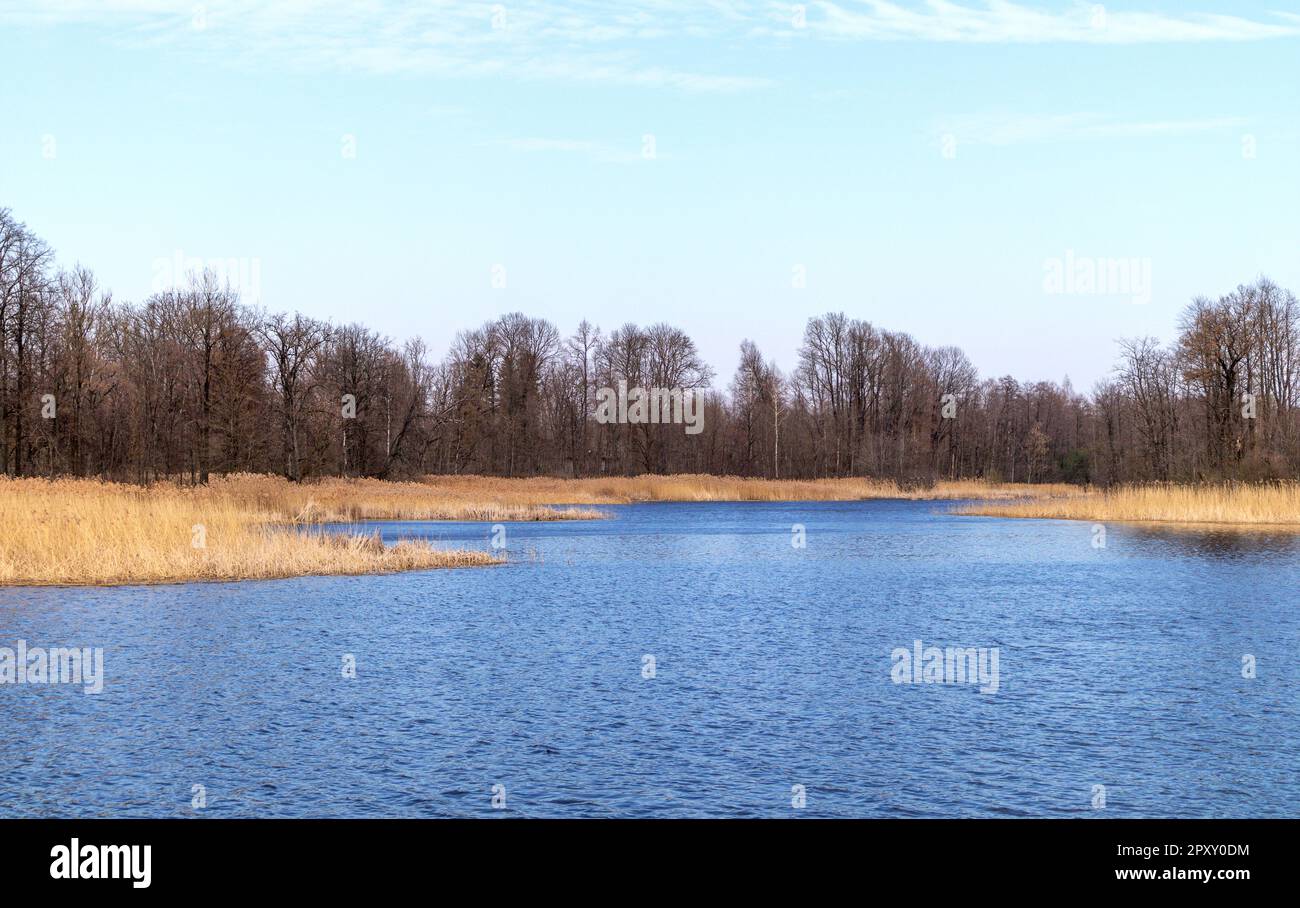 Un lago con laghetto e canne in primo piano Foto Stock