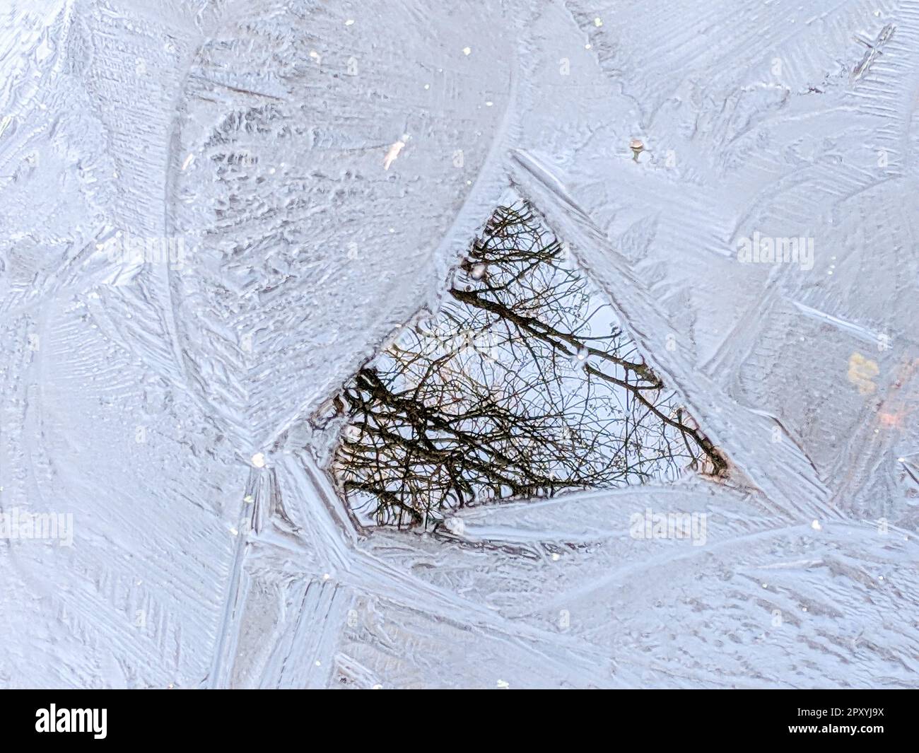 Cristalli di ghiaccio congelati sulla terra Foto Stock