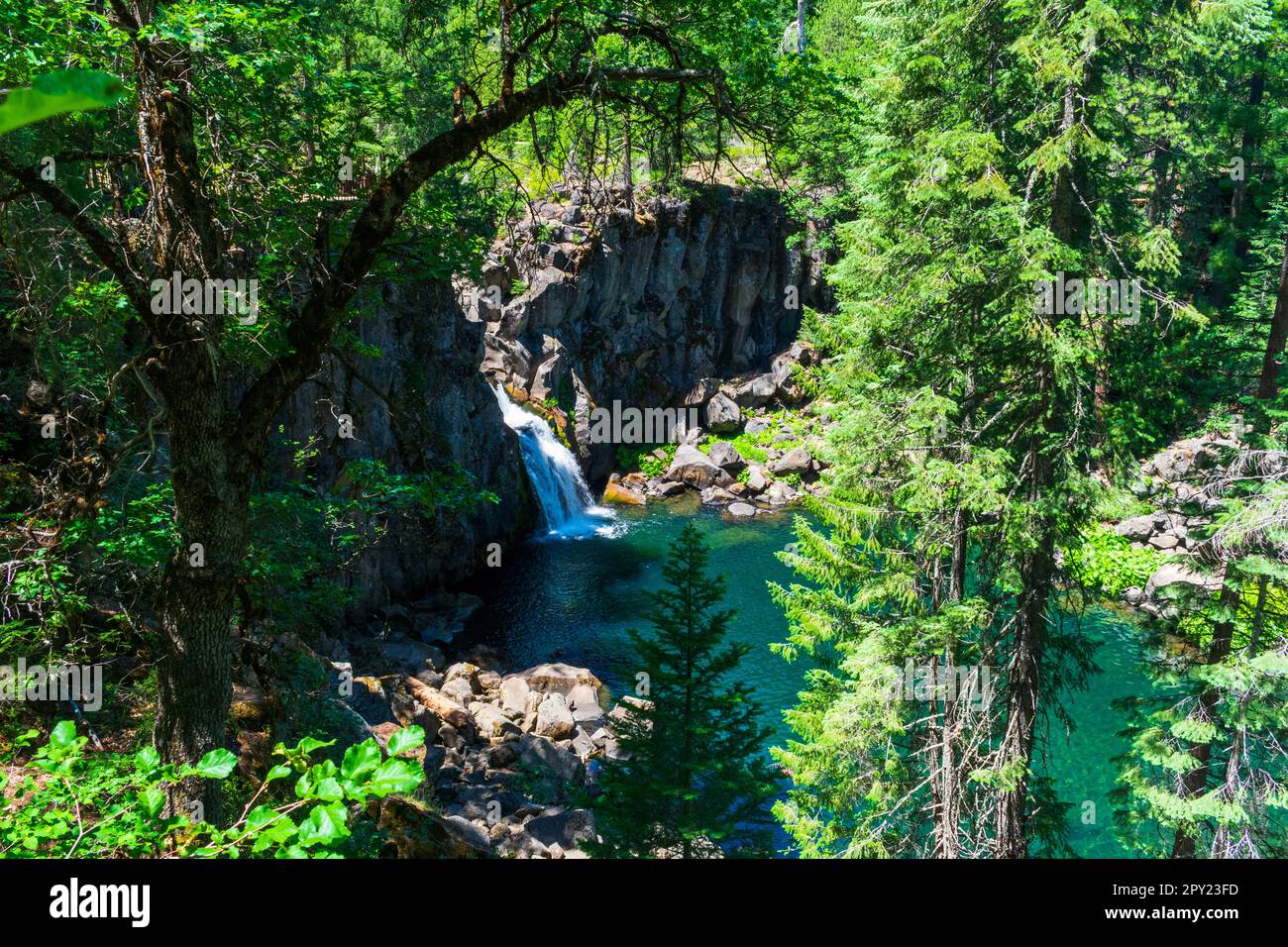 Splendide cascate McCloud, viste lungo il fiume McCloud nella Shasta National Forest nella California settentrionale Foto Stock