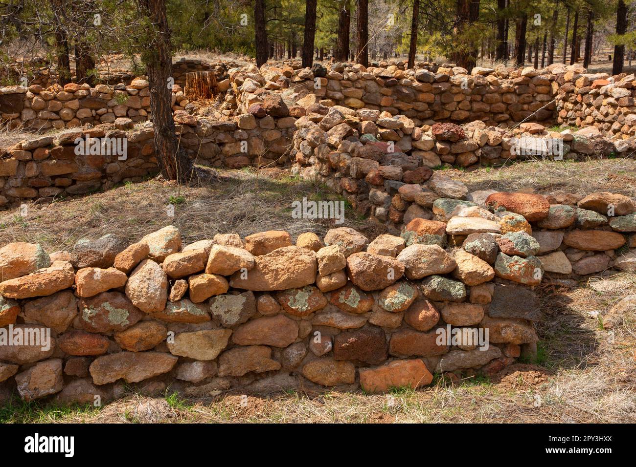 Elden Pueblo, Coconino National Forest, Arizona Foto Stock