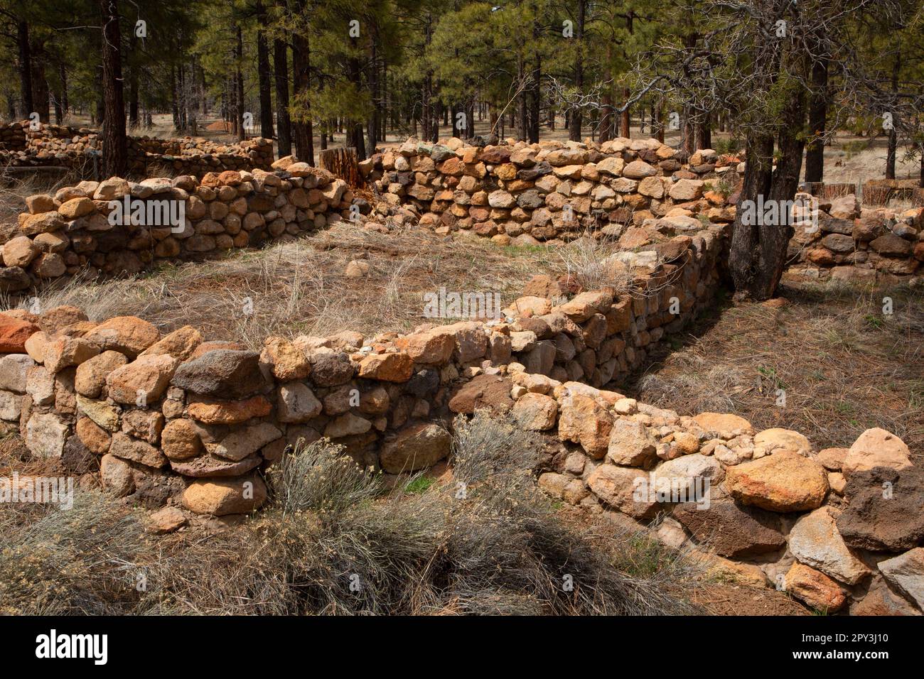 Elden Pueblo, Coconino National Forest, Arizona Foto Stock
