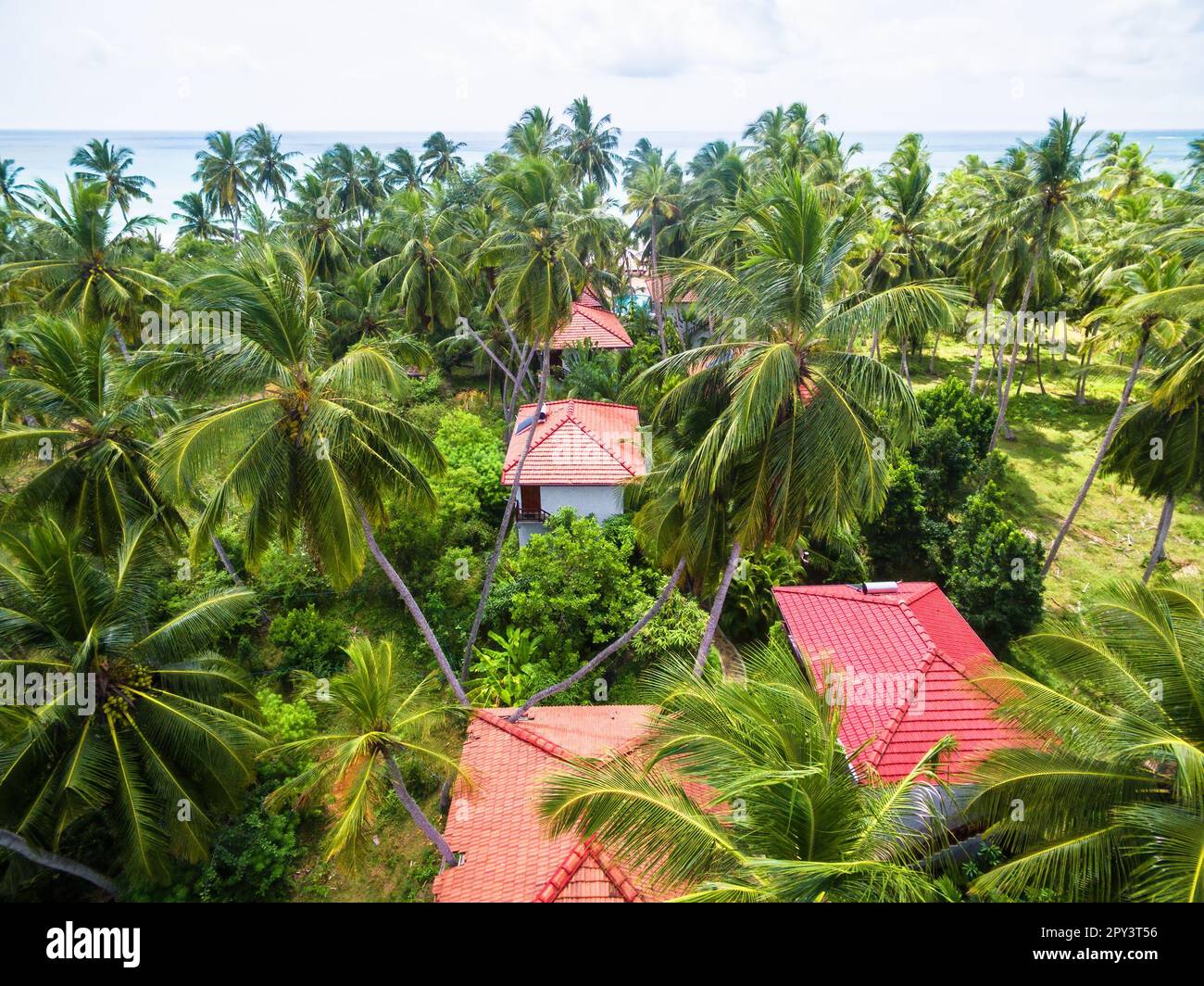 Palme da cocco e case di hotel sulla spiaggia dell'oceano, Sri Lanka. Vista aerea di località o villaggio panoramico, paesaggio di mare nella giungla. Viaggio, libero Foto Stock