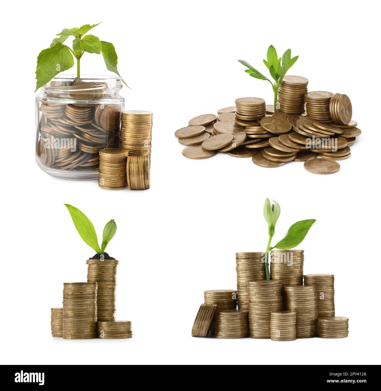 Set con vasetto, monete e piante in crescita su sfondo bianco. Investimento di successo Foto Stock