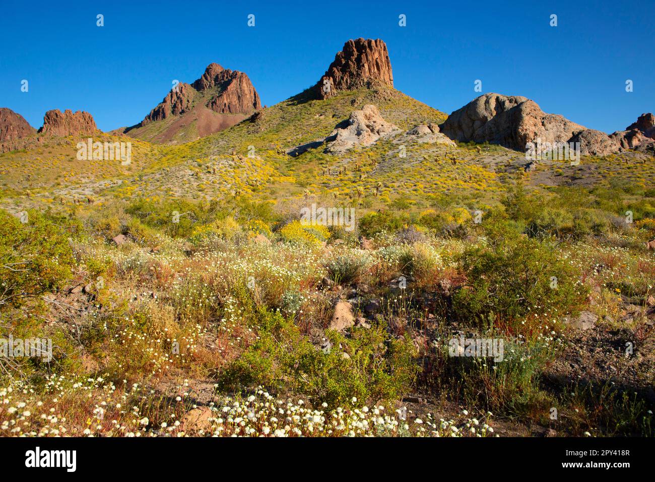 Deserto lungo la strada, Route 66 Historic Back Country Byway, Arizona Foto Stock