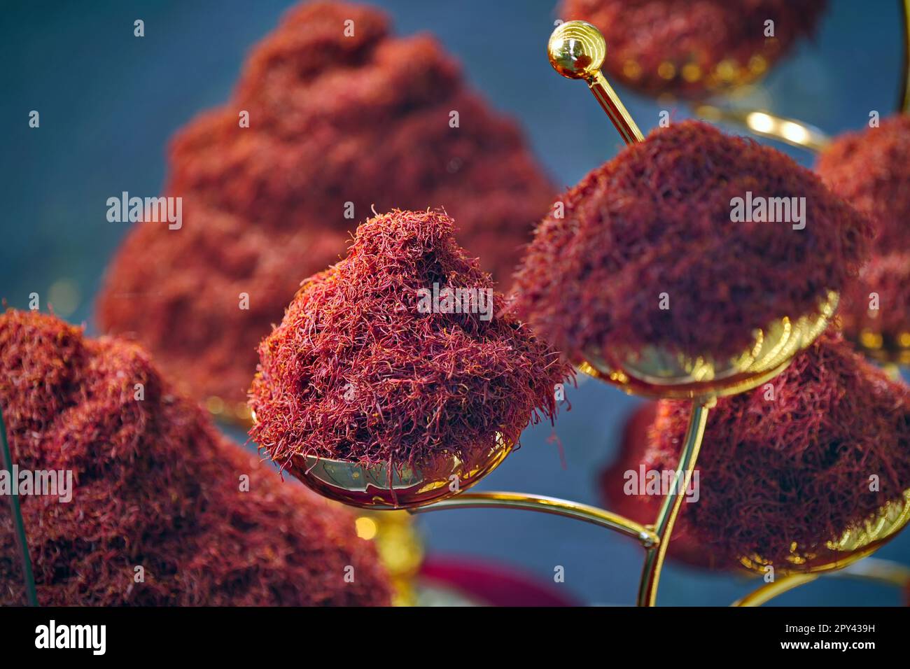 Crudo biologico Spice di zafferano rosso in una ciotola. Gusto lussuoso e spezie costose idea concettuale con primo piano su sciolto zafferano spezia. Foto Stock