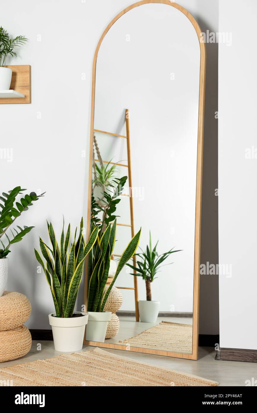 Elegante specchio a figura intera e piante da casa vicino alle pareti  bianche in camera Foto stock - Alamy
